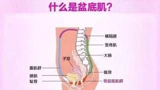 盆底肌的隐形傷害代代傳，這樣的「犧牲」不能(néng)要